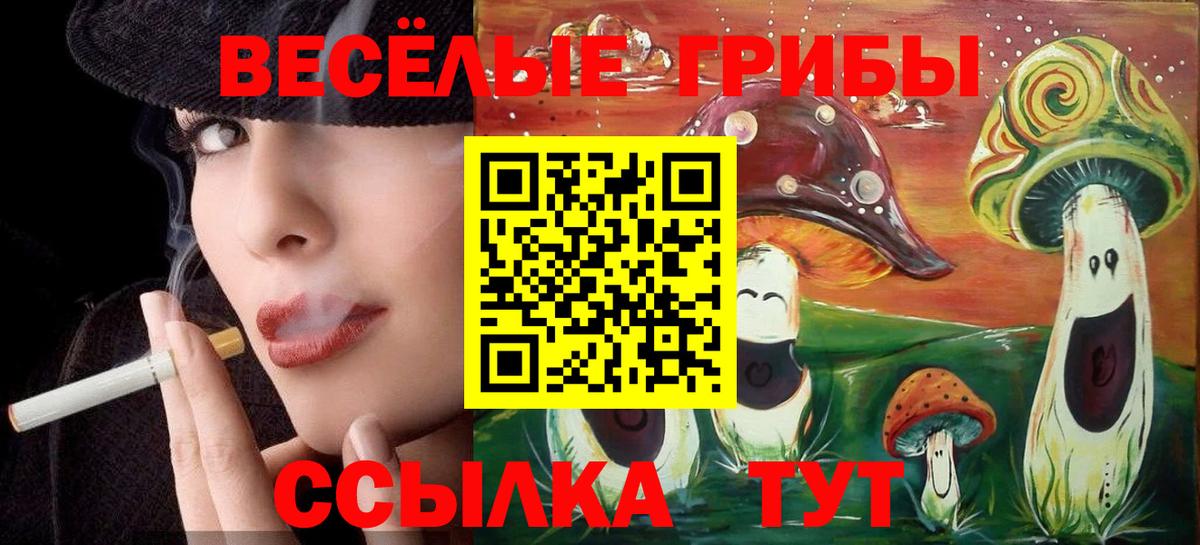 Новозыбков  Галлюциногенные грибы GOLDEN TEACHER  Вход с VPN 