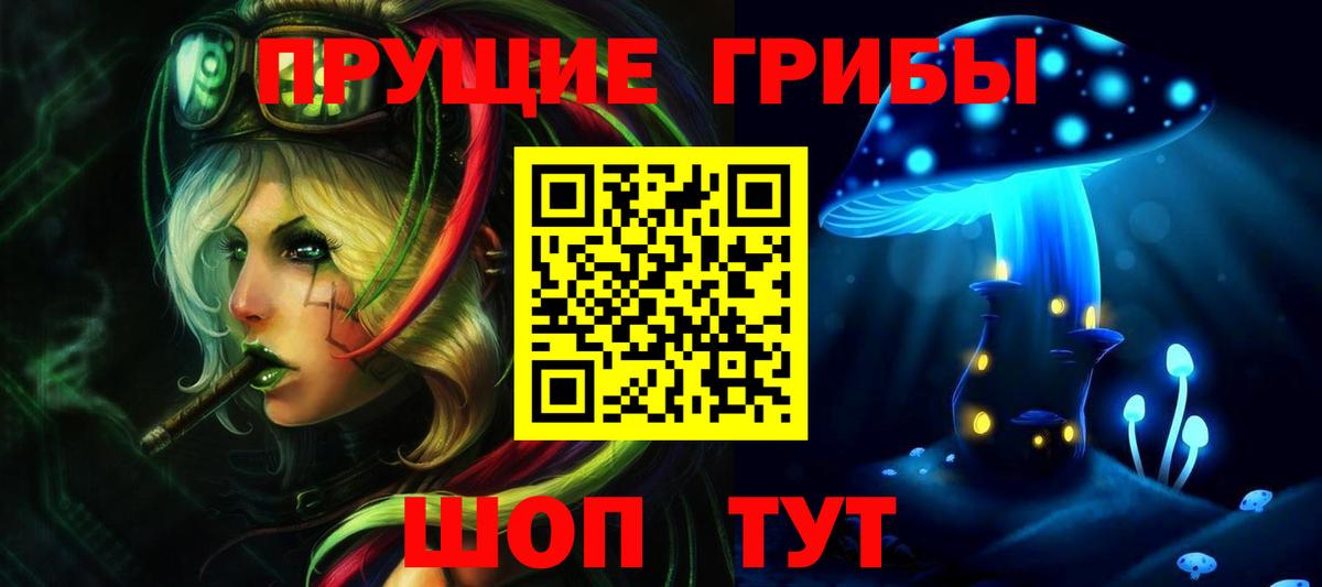 Галлюциногенные грибы мицелий Новозыбков